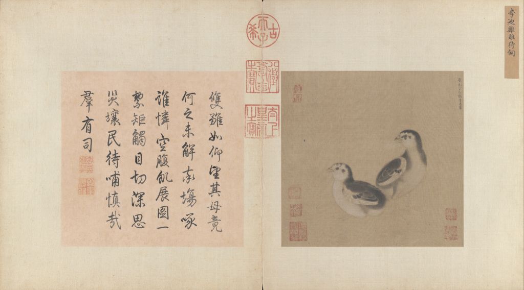 图片[1]-Lidi chicks to be fed-China Archive
